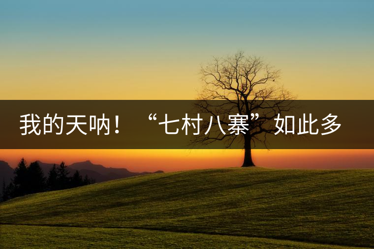 我的天吶！“七村八寨”如此多的易武茶，品質(zhì)特色如何分辨？