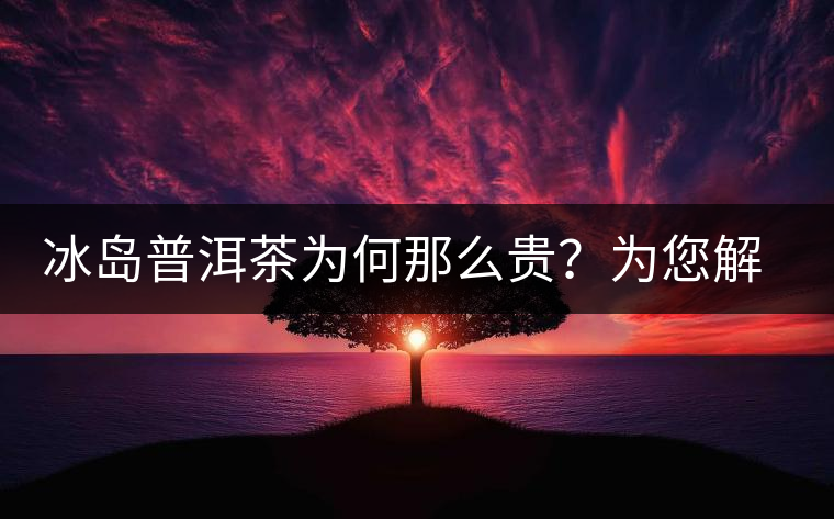 冰島普洱茶為何那么貴？為您解析其中的原由