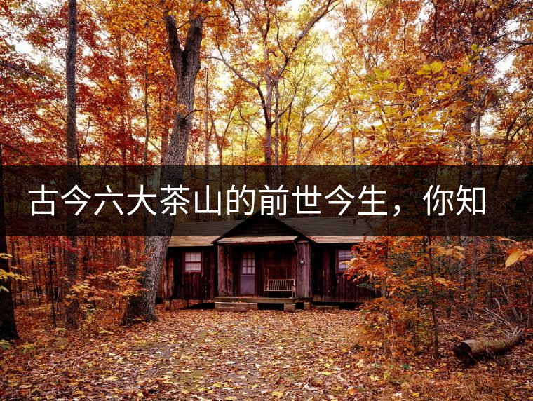 古今六大茶山的前世今生，你知多少？
