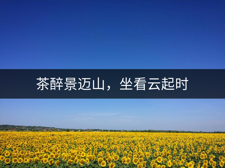 茶醉景邁山，坐看云起時(shí)