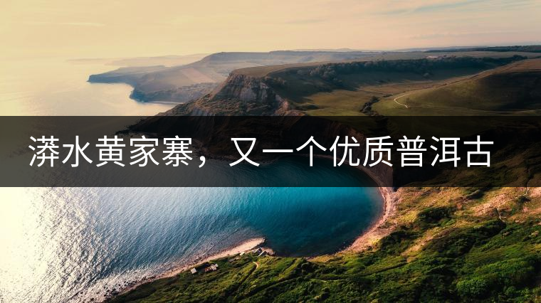 漭水黃家寨，又一個(gè)優(yōu)質(zhì)普洱古樹(shù)群落