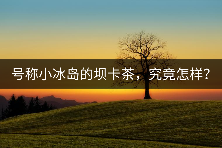 號(hào)稱小冰島的壩卡茶，究竟怎樣？