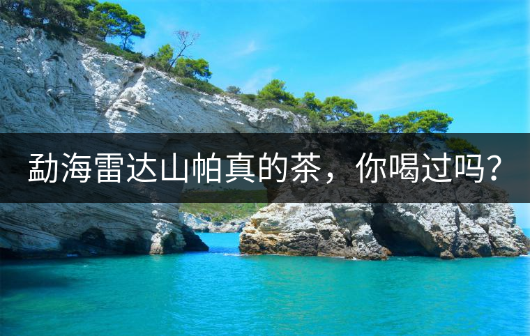 勐海雷達(dá)山帕真的茶，你喝過嗎？