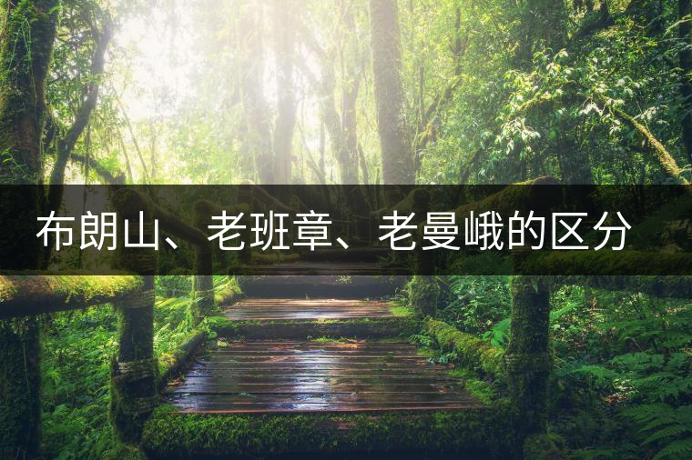 布朗山、老班章、老曼峨的區(qū)分和鑒別