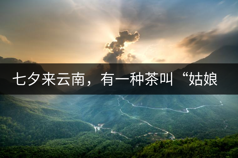 七夕來云南，有一種茶叫“姑娘茶”，也許你就能遇上