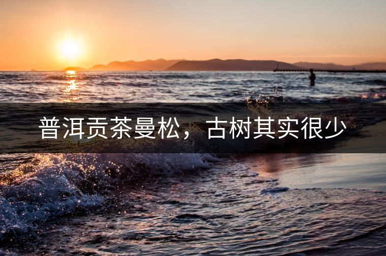 普洱貢茶曼松，古樹其實(shí)很少