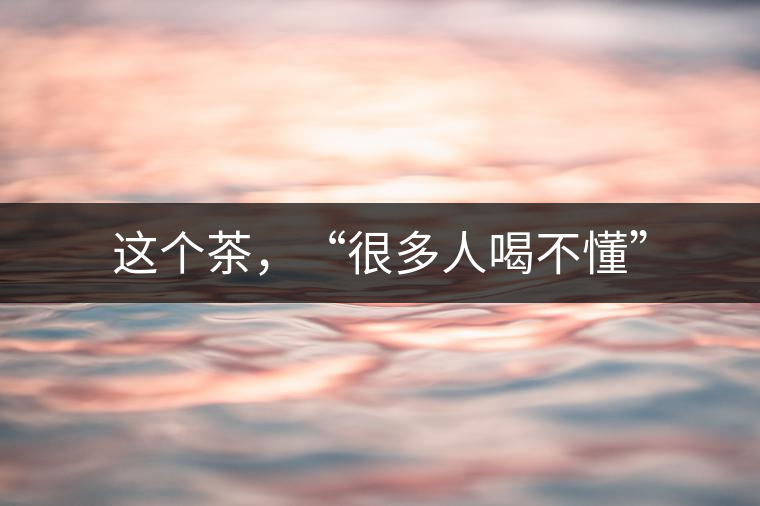 這個茶，“很多人喝不懂”