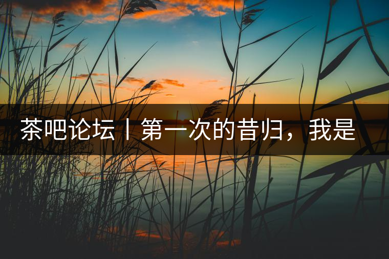 茶吧論壇丨第一次的昔歸，我是這樣喝到的