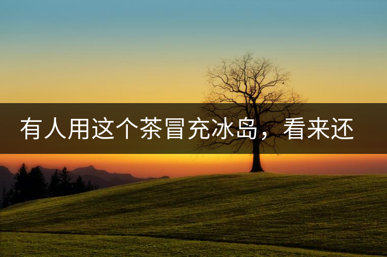 有人用這個茶冒充冰島，看來還是有幾分道理