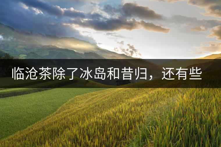 臨滄茶除了冰島和昔歸，還有些什么？