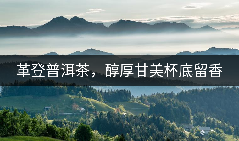 革登普洱茶，醇厚甘美杯底留香