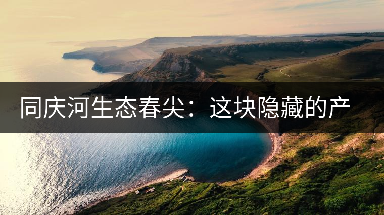 同慶河生態(tài)春尖：這塊隱藏的產(chǎn)茶圣地，你知道嗎？