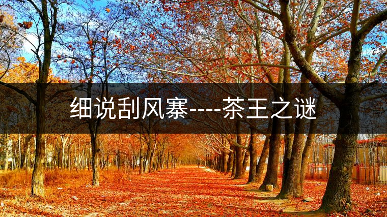 細說刮風寨----茶王之謎