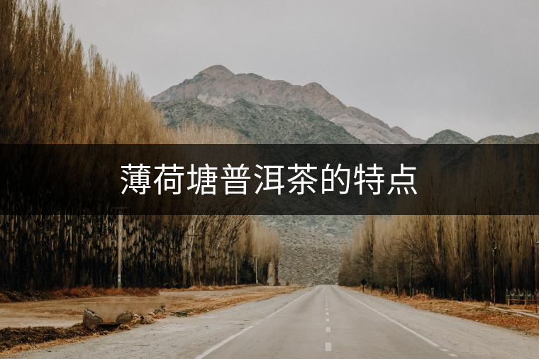 薄荷塘普洱茶的特點(diǎn)