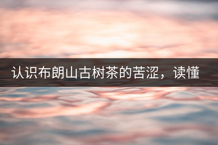 認識布朗山古樹茶的苦澀，讀懂勐海普洱茶