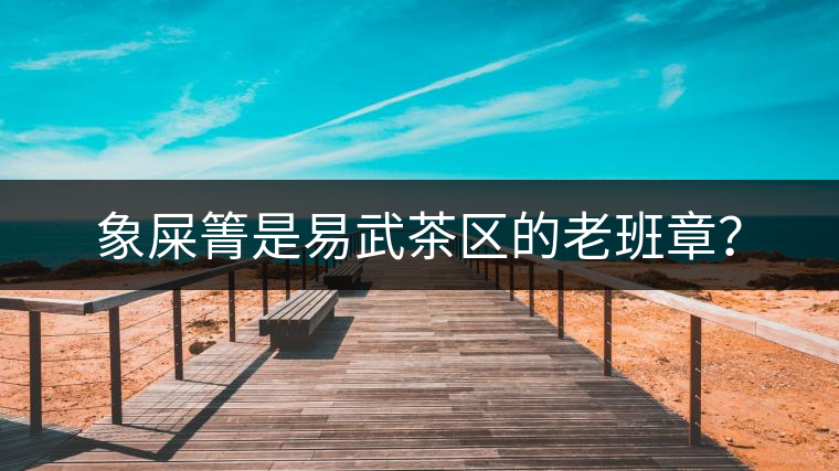 象屎箐是易武茶區(qū)的老班章？