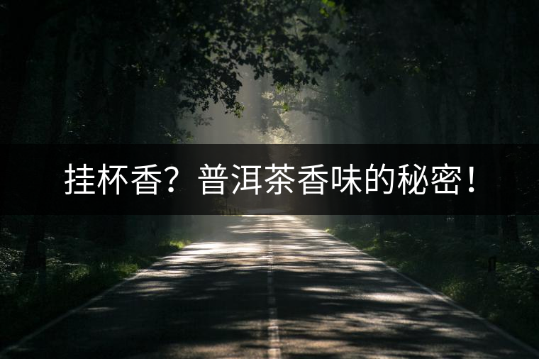 掛杯香？普洱茶香味的秘密！