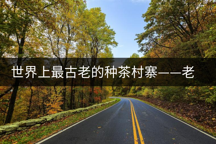 世界上最古老的種茶村寨——老曼峨