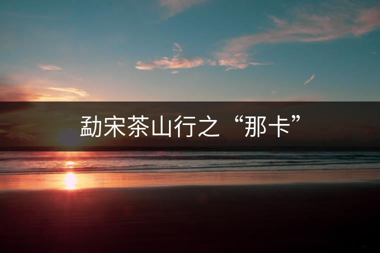 勐宋茶山行之“那卡”