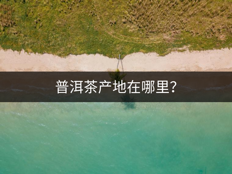 普洱茶產地在哪里？