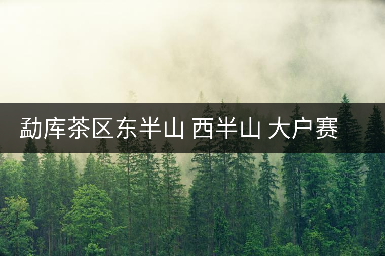 勐庫茶區(qū)東半山 西半山 大戶賽 小戶賽普洱茶介紹 勐庫茶區(qū)東半山 西半山 大戶賽 小戶賽普洱茶介紹