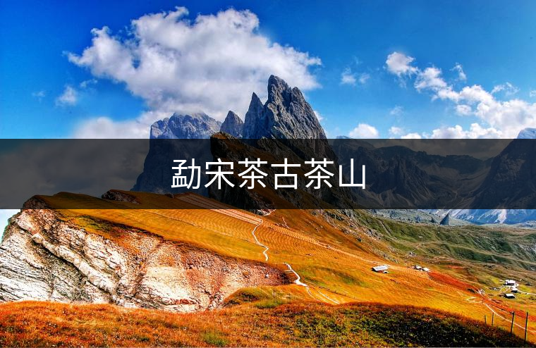 勐宋茶古茶山 勐宋茶古茶山