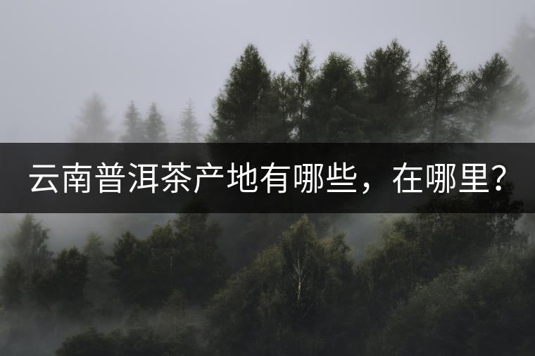 云南普洱茶產(chǎn)地有哪些，在哪里？