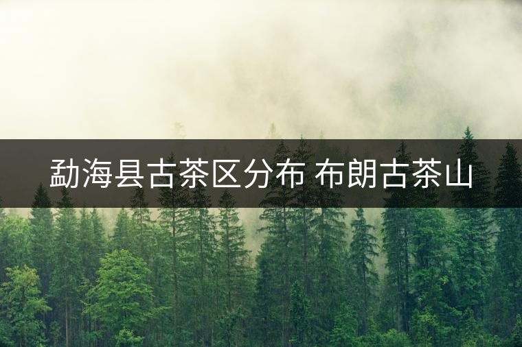 勐?？h古茶區(qū)分布 布朗古茶山
