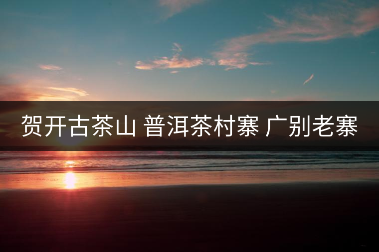 賀開(kāi)古茶山 普洱茶村寨 廣別老寨