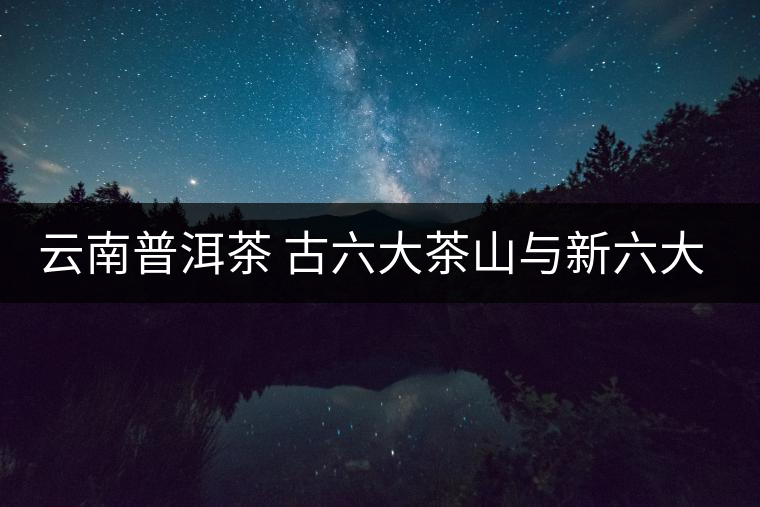 云南普洱茶 古六大茶山與新六大茶山對(duì)比