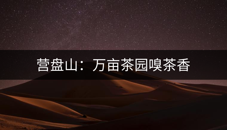 營盤山：萬畝茶園嗅茶香