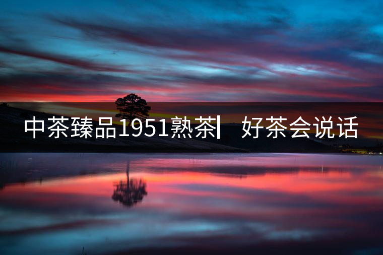 中茶臻品1951熟茶▏好茶會(huì)說話 中茶臻品1951熟茶▏好茶會(huì)說話