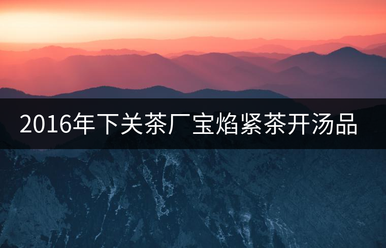 2016年下關茶廠寶焰緊茶開湯品鑒 2016年下關茶廠寶焰緊茶開湯品鑒