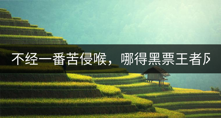 不經(jīng)一番苦侵喉，哪得黑票王者風！