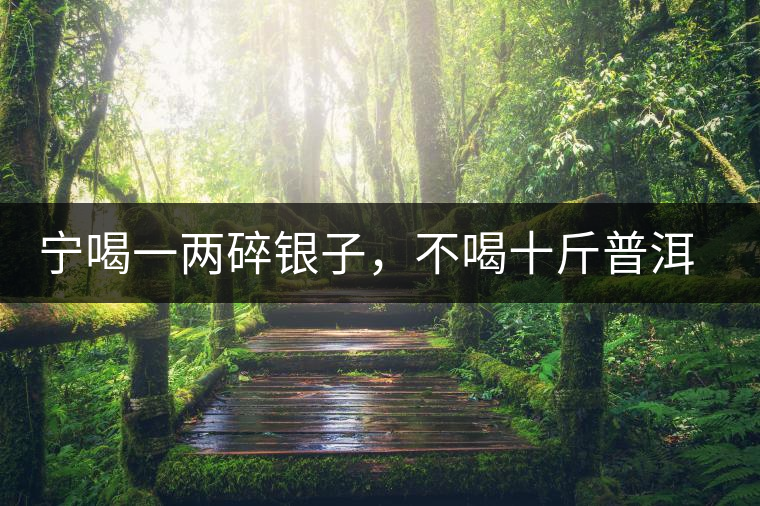 寧喝一兩碎銀子，不喝十斤普洱茶