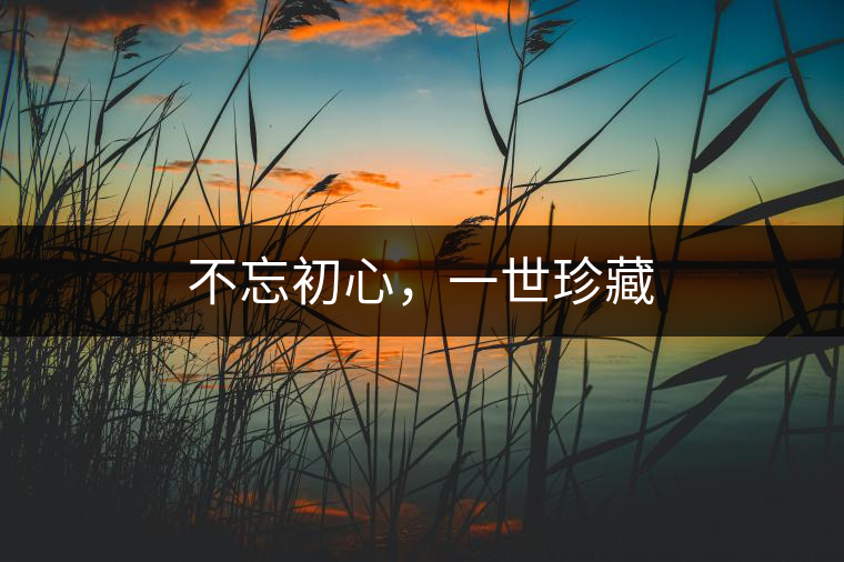 不忘初心，一世珍藏
