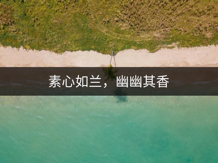 素心如蘭，幽幽其香