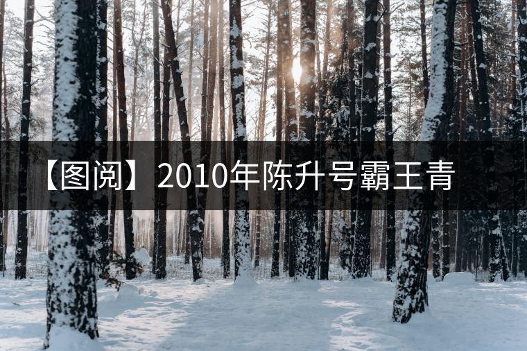 【圖閱】2010年陳升號(hào)霸王青餅開湯