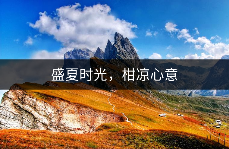 盛夏時(shí)光，柑涼心意