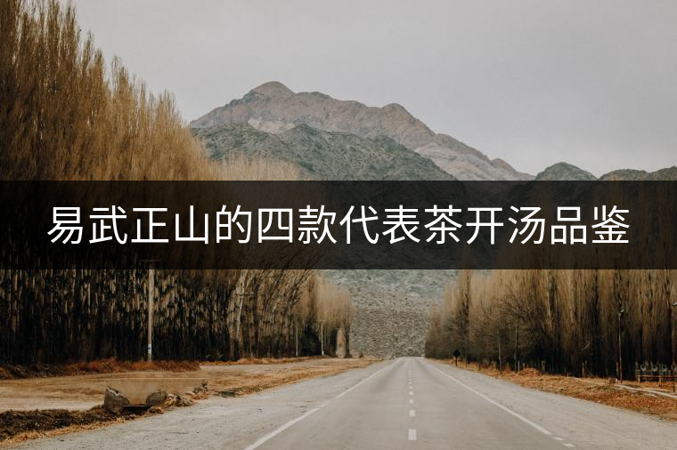 易武正山的四款代表茶開(kāi)湯品鑒