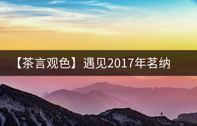 【茶言觀色】遇見(jiàn)2017年茗納百川四星易武