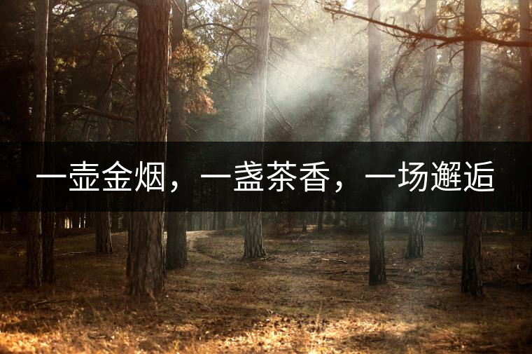 一壺金煙，一盞茶香，一場(chǎng)邂逅