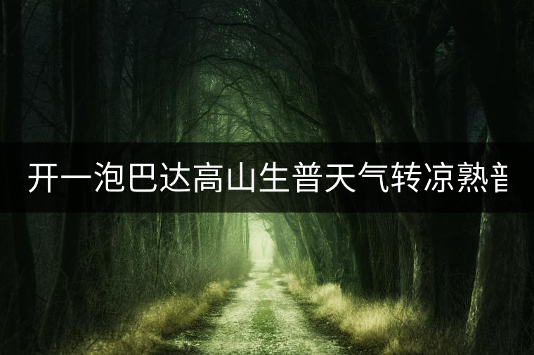 開一泡巴達高山生普天氣轉涼熟普又喝不慣，找到了這款2014巴達