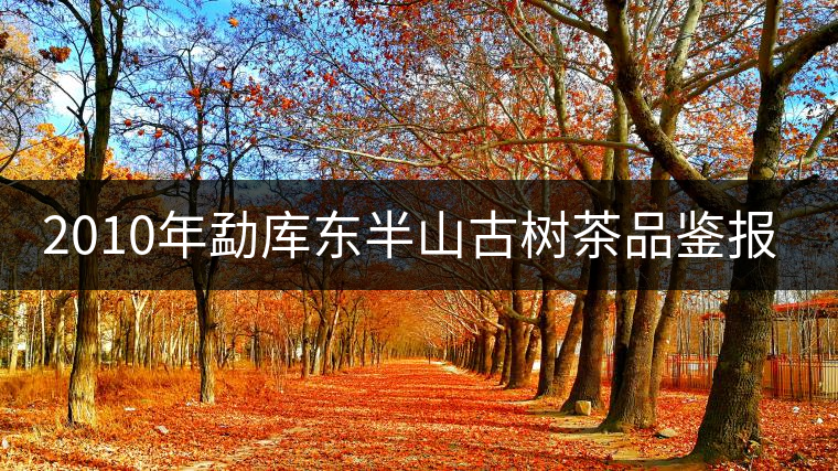 2010年勐庫東半山古樹茶品鑒報(bào)告 2010年勐庫東半山古樹茶品鑒報(bào)告