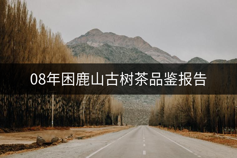 08年困鹿山古樹茶品鑒報告 08年困鹿山古樹茶品鑒報告