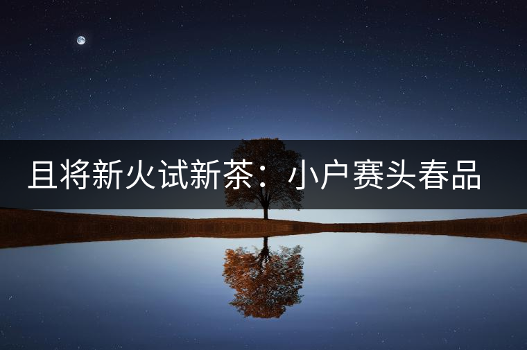 且將新火試新茶:小戶賽頭春品鑒 且將新火試新茶:小戶賽頭春品鑒