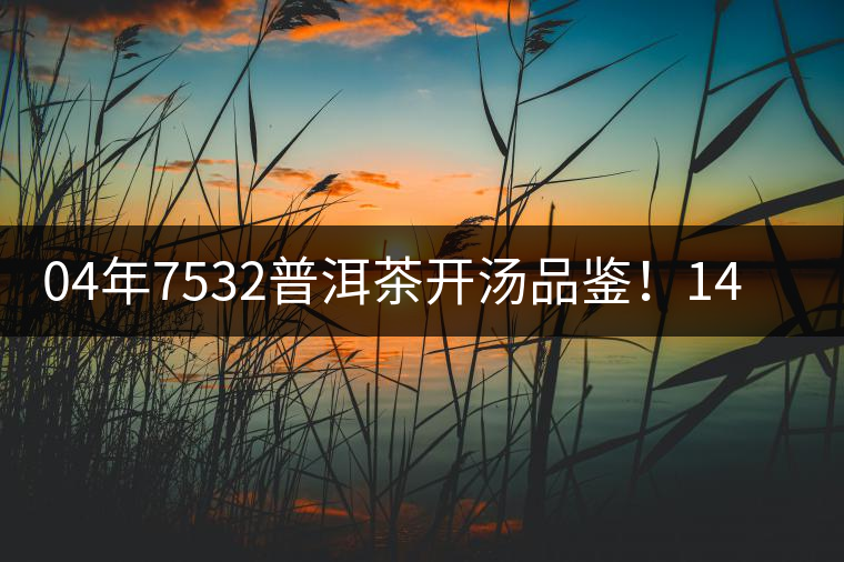 04年7532普洱茶開(kāi)湯品鑒！14年轉(zhuǎn)化，經(jīng)典雪印配方！