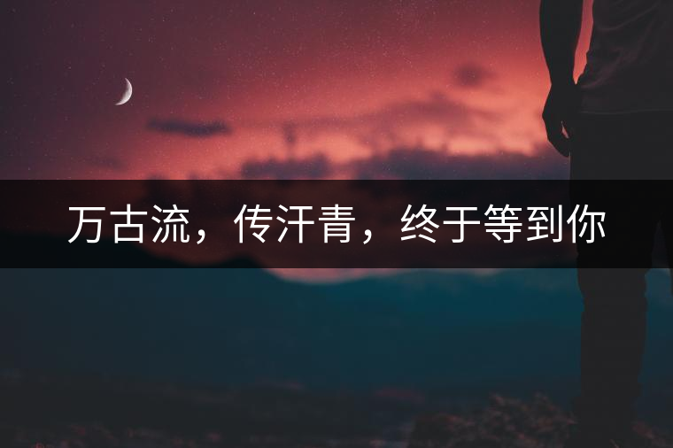 萬(wàn)古流，傳汗青，終于等到你
