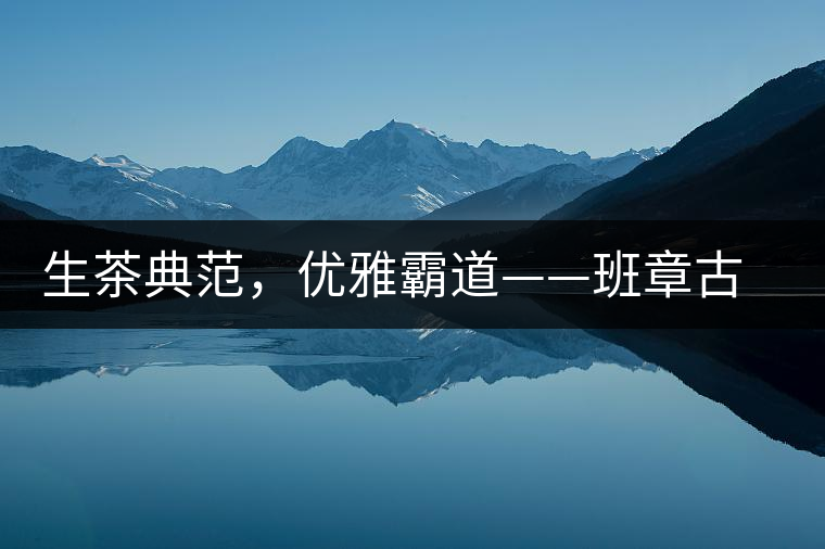 生茶典范，優(yōu)雅霸道——班章古韻