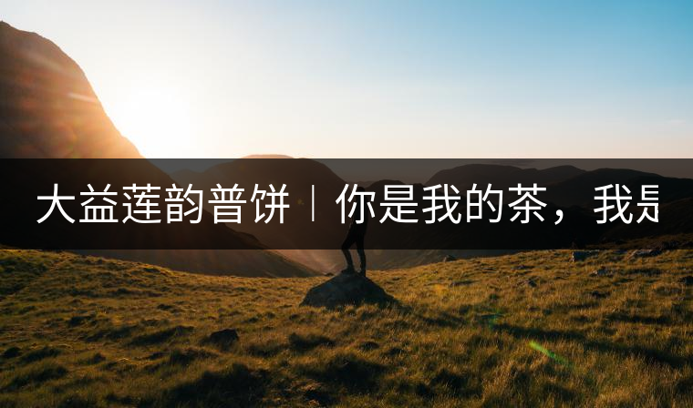 大益蓮韻普餅︱你是我的茶，我是你的人！